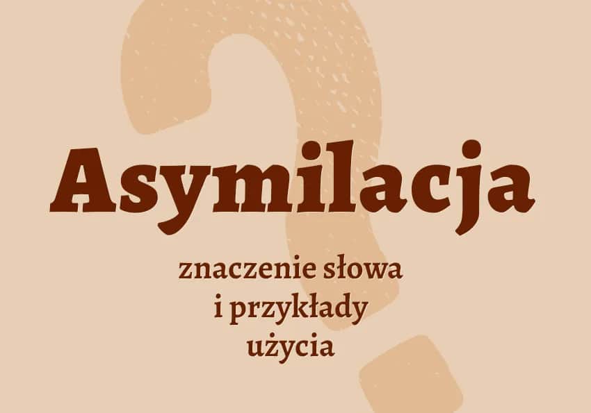 Asymilacja co to? Definicja i znaczenie w różnych kontekstach